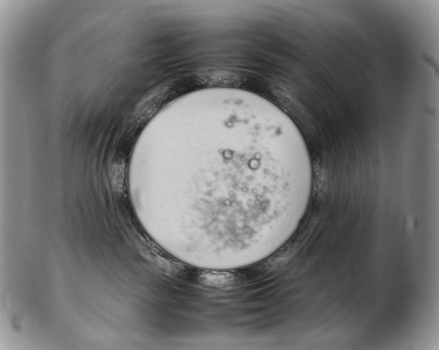 X0000102270189200808221446