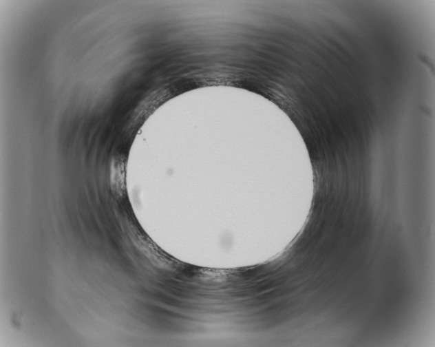 X0000102270190200808221446