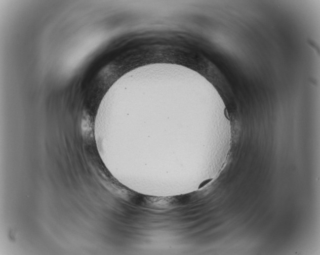X0000102270191200808221446