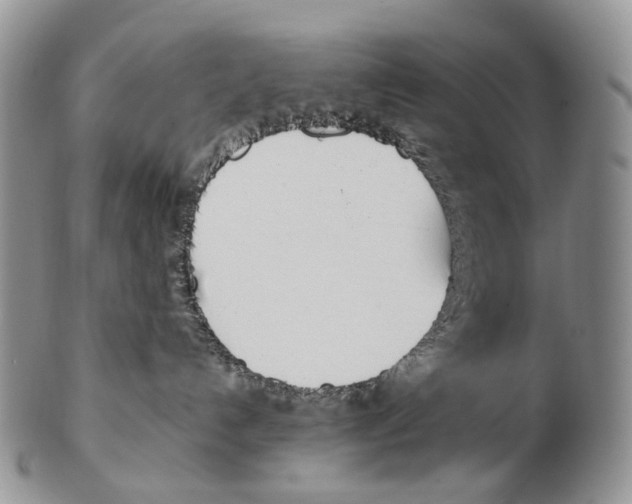 X0000102270192200808221446