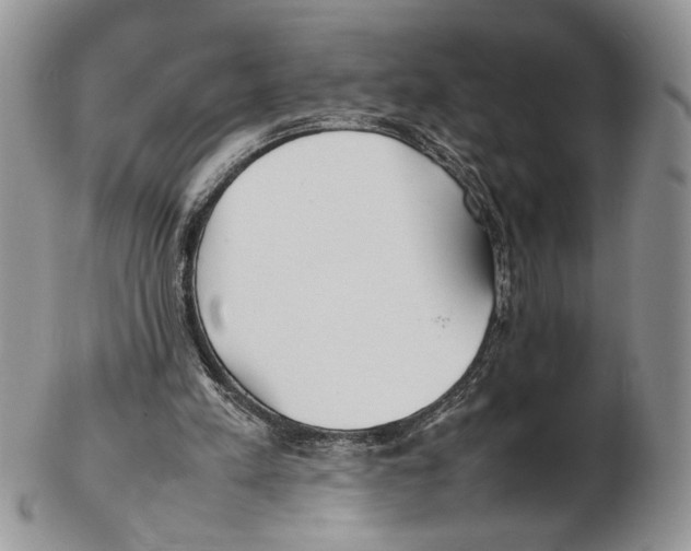X0000102270197200808221445
