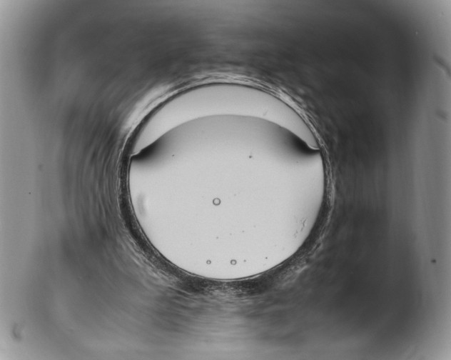 X0000102270199200808221445