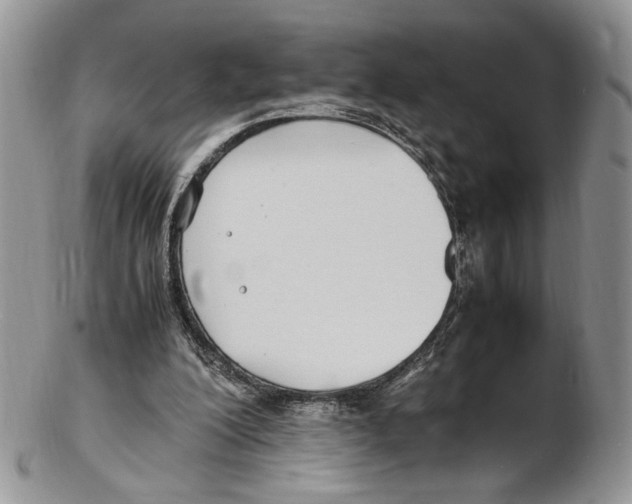 X0000102270200200808221445