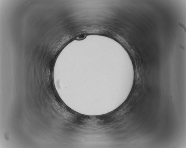 X0000102270201200808221445