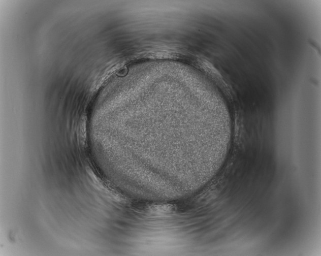 X0000102270202200808221445