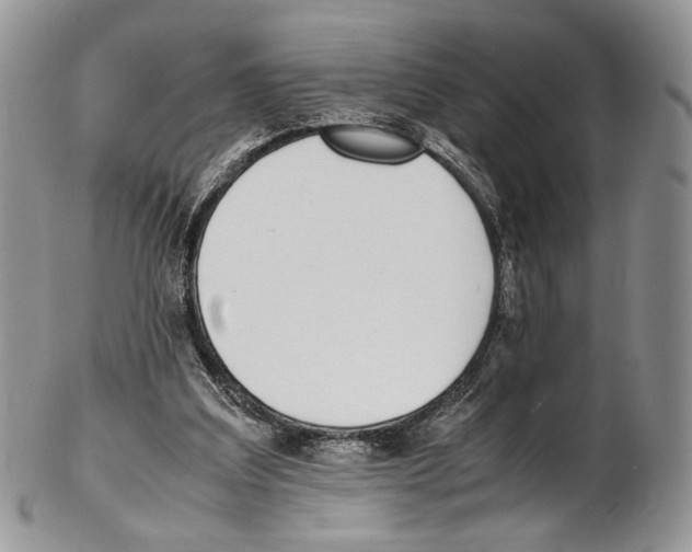 X0000102270203200808221445
