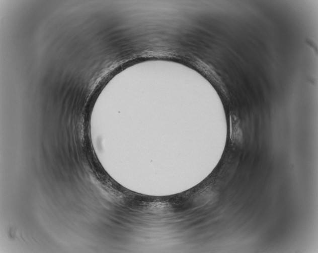 X0000102270204200808221445