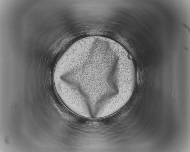 X0000102270205200808221445