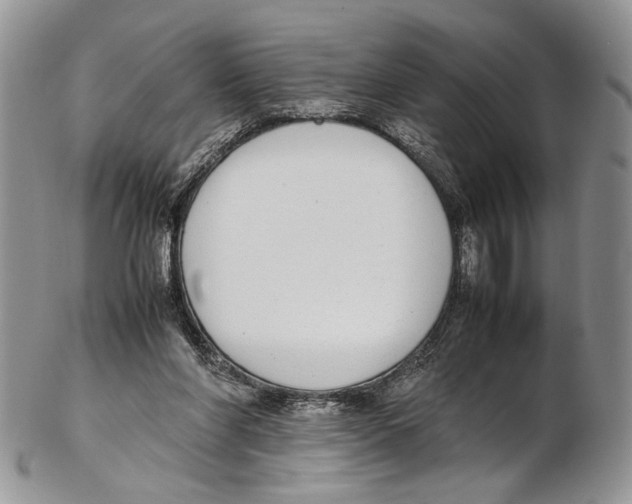 X0000102270206200808221445