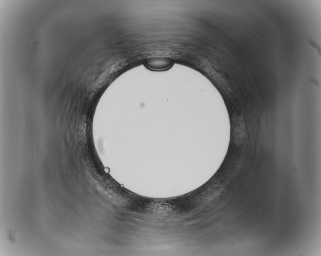 X0000102270207200808221445