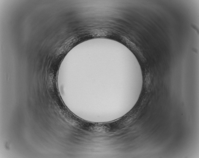 X0000102270209200808221445