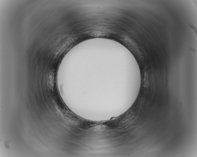 X0000102270210200808221445