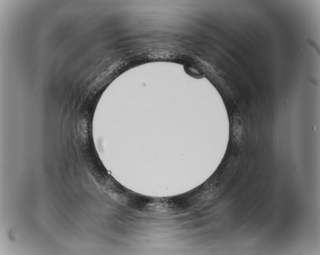 X0000102270211200808221445