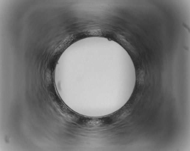 X0000102270213200808221445