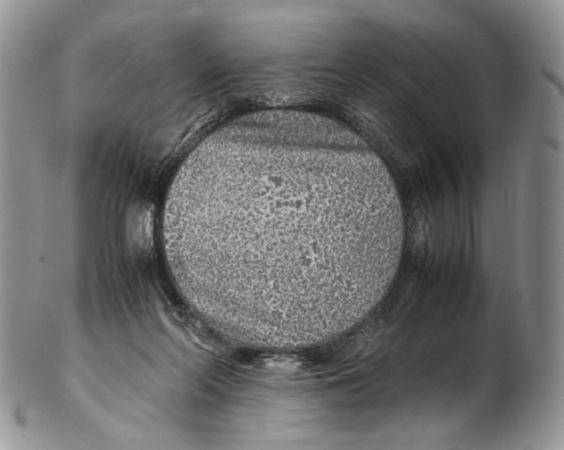 X0000102270214200808221445