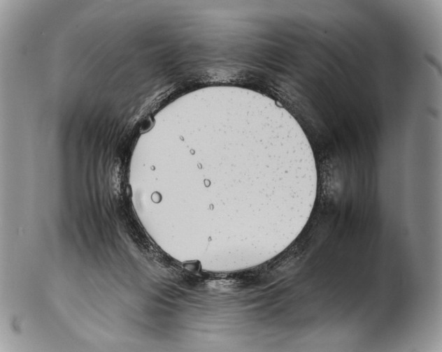 X0000102270216200808221445