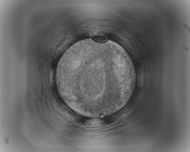 X0000102270219200808221445