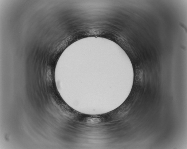 X0000102270220200808221445