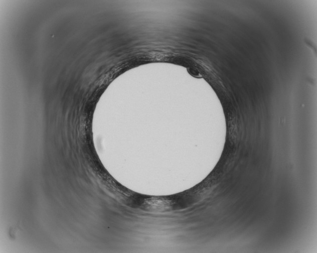 X0000102270221200808221445