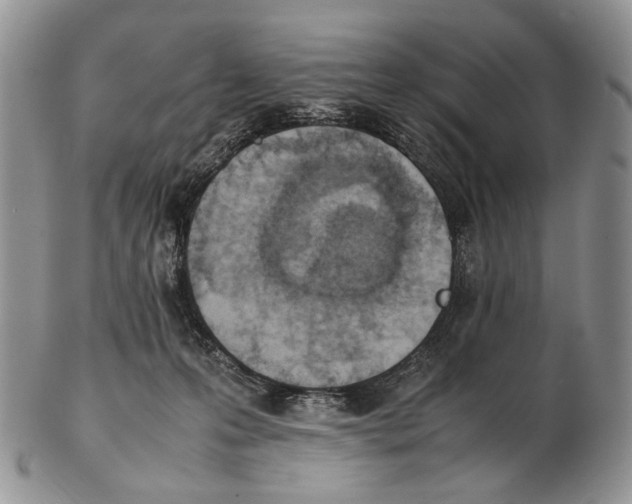 X0000102270223200808221445