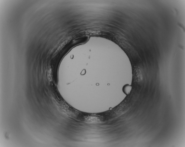 X0000102270224200808221445