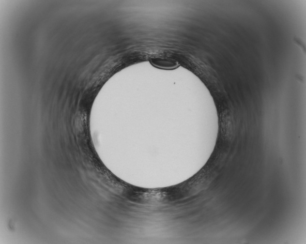 X0000102270225200808221445