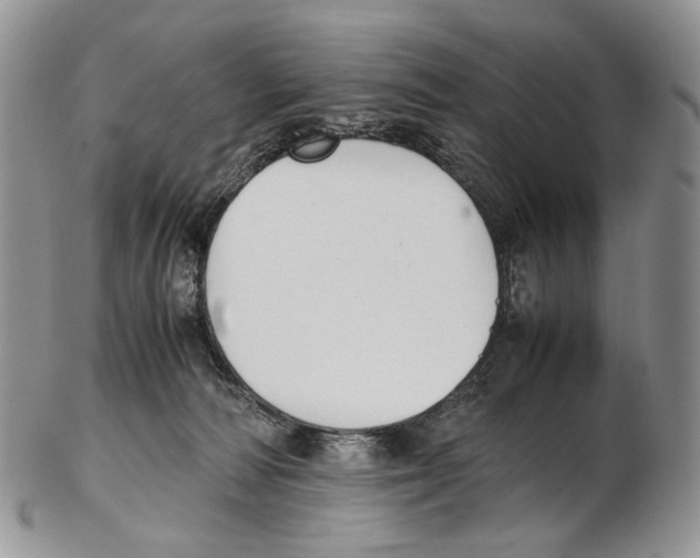 X0000102270226200808221445