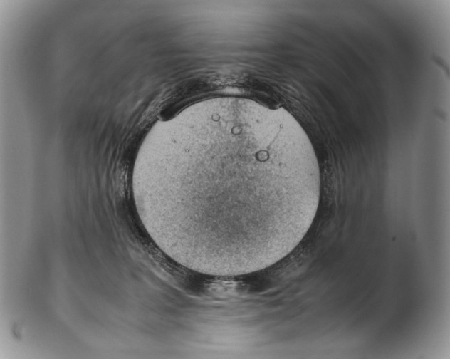 X0000102270227200808221445