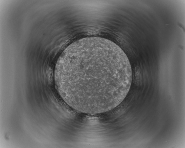 X0000102270228200808221444