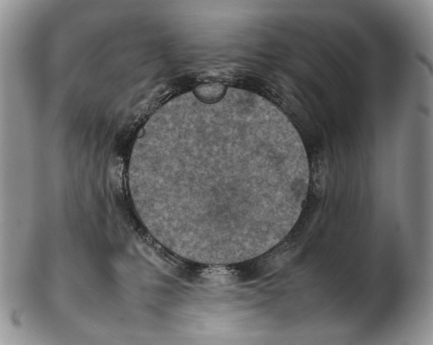 X0000102270231200808221444