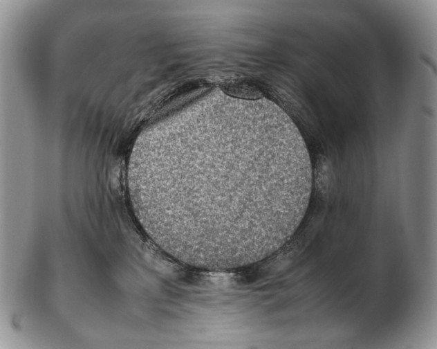 X0000102270233200808221444