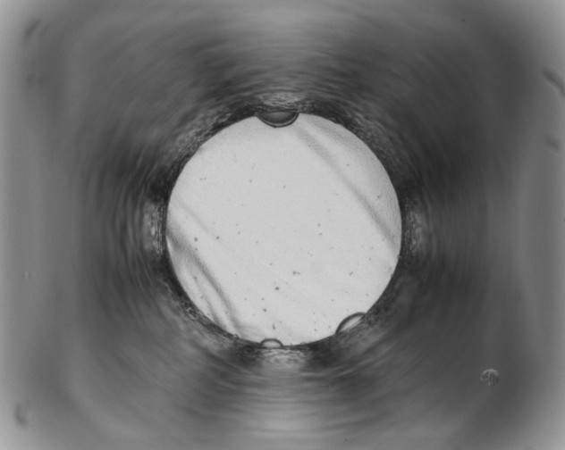 X0000102270234200808221444
