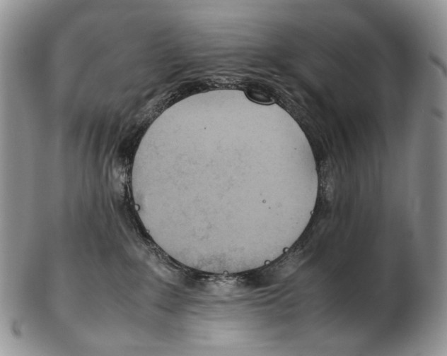 X0000102270235200808221444