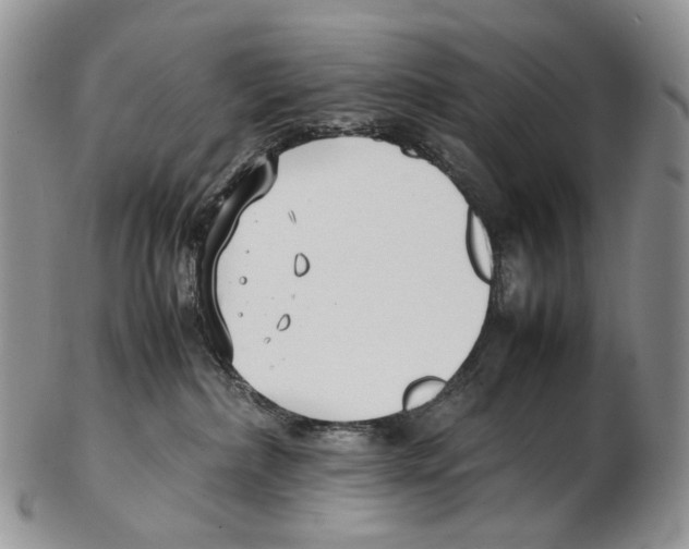 X0000102270236200808221444