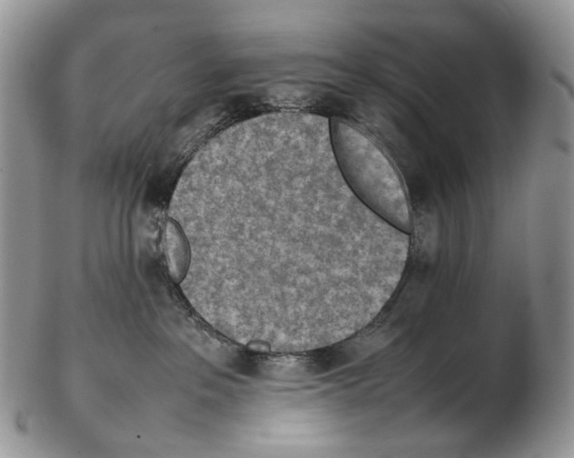 X0000102270237200808221444