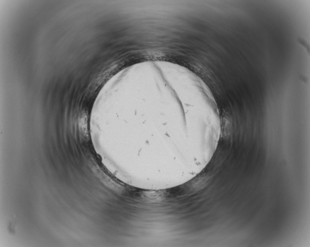 X0000102270238200808221444