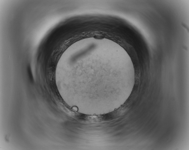 X0000102270239200808221444