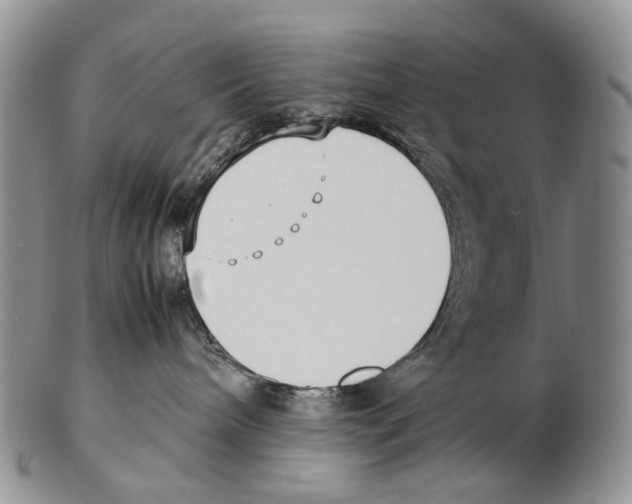 X0000102270240200808221444