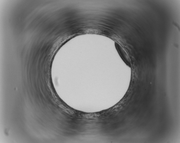 X0000102270241200808221444