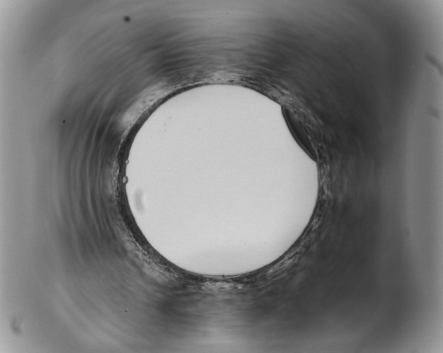 X0000102270242200808221444