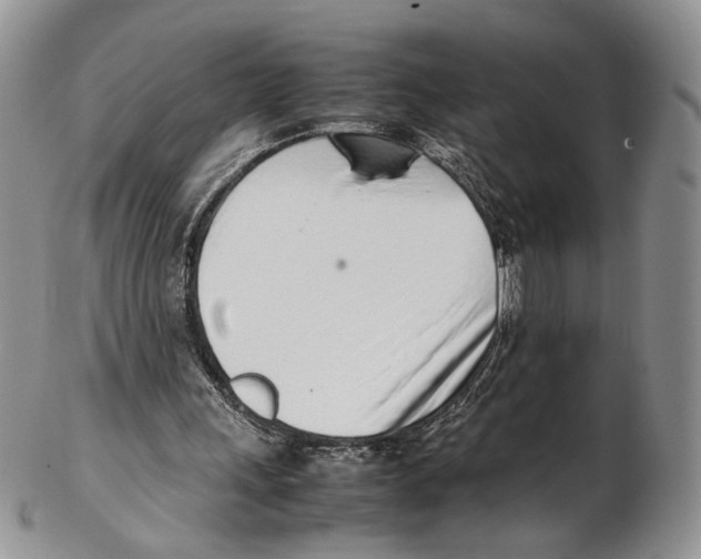 X0000102270243200808221444