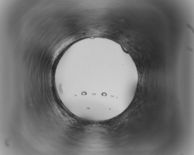 X0000102270244200808221444