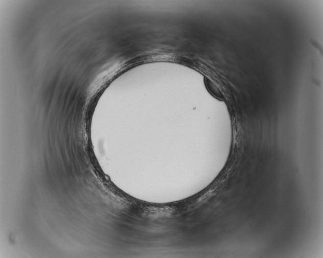 X0000102270245200808221444