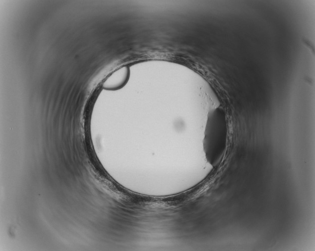 X0000102270246200808221444
