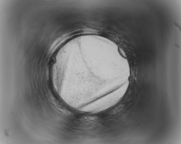 X0000102270247200808221444