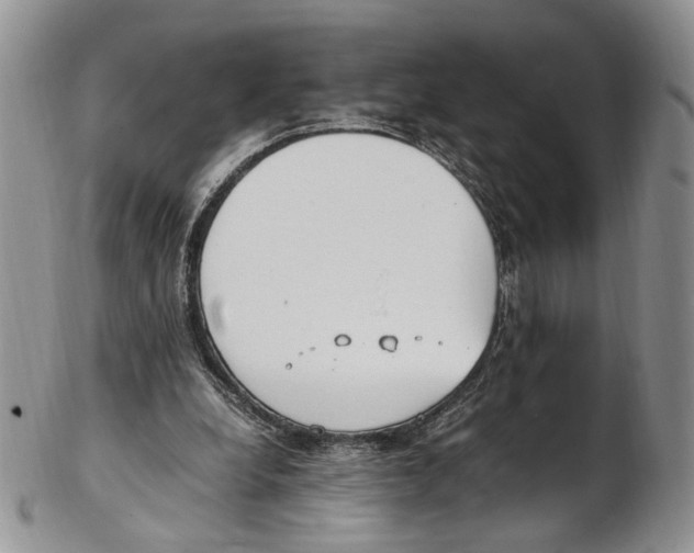 X0000102270248200808221444