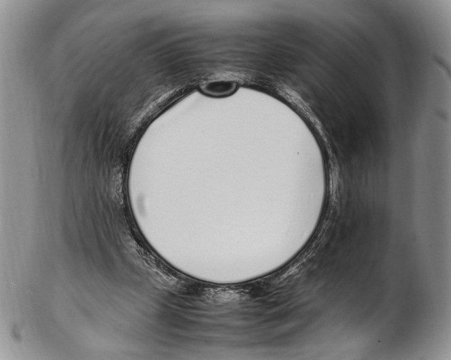 X0000102270249200808221444