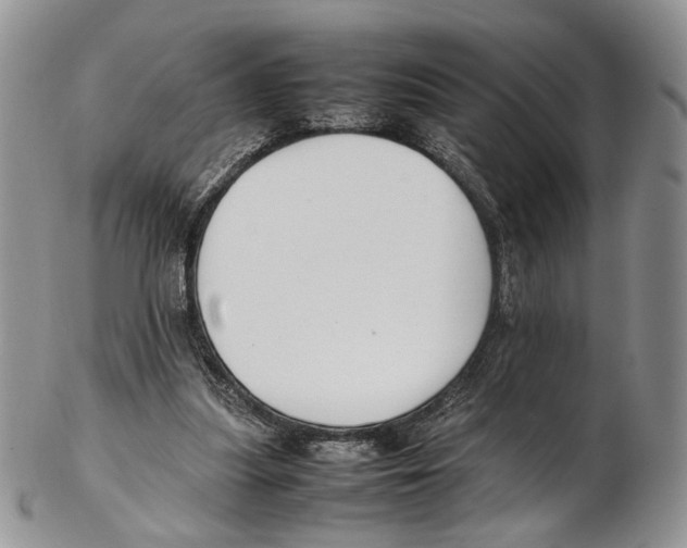 X0000102270251200808221444