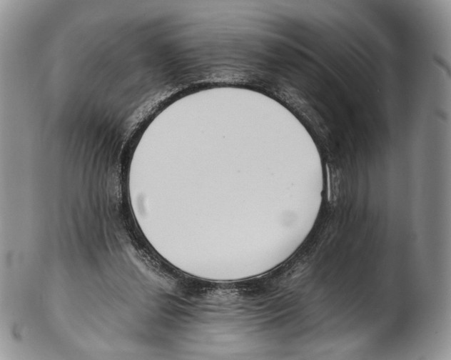 X0000102270252200808221444