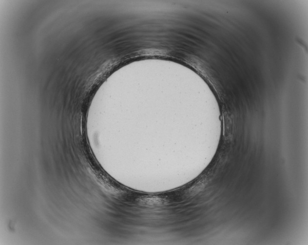 X0000102270253200808221444